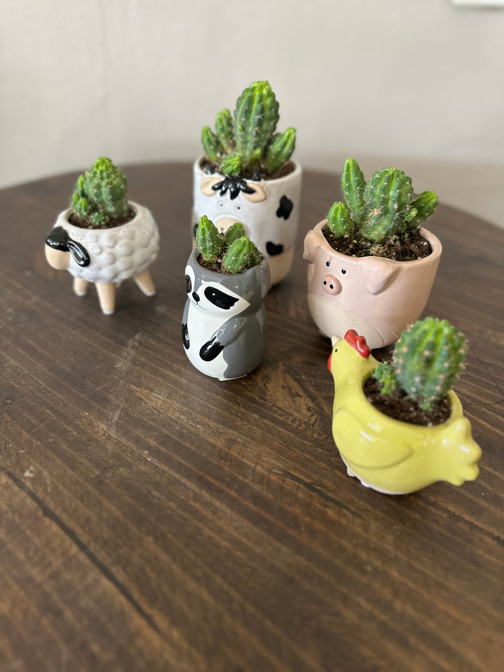 Sitting Raccoon Planter/Vase