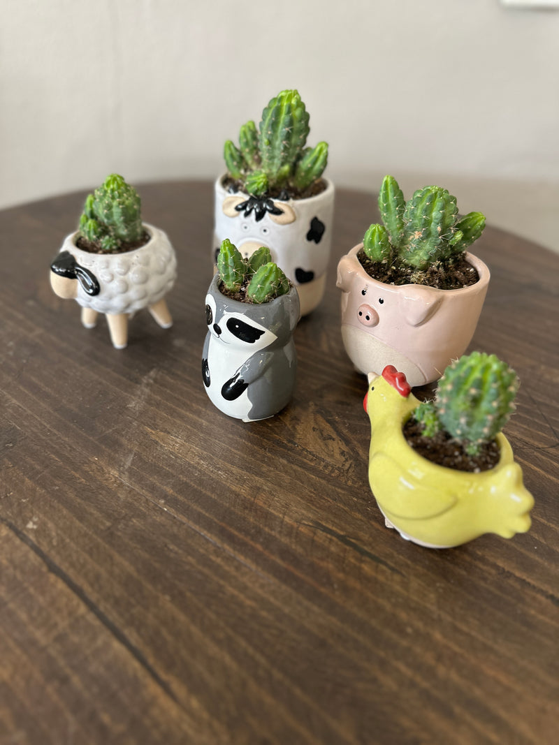 Sheep on Legs Ceramic Planter