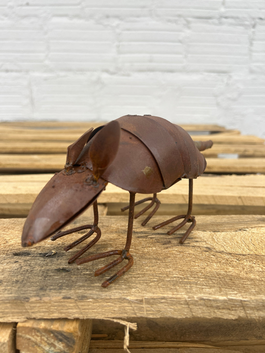 Armadillo Metal Art