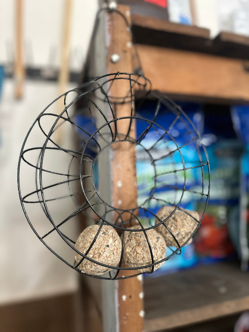 Backyard Boost Songbird Bird Feeder