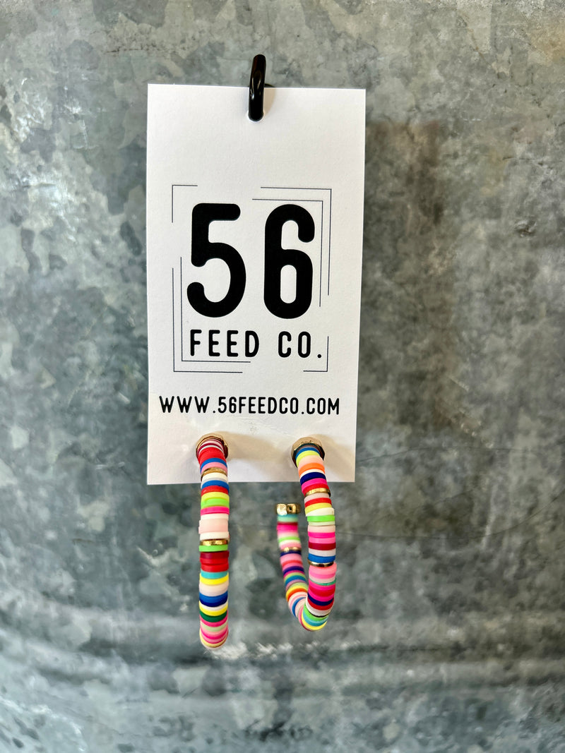 Earrings | Multi Colored Flat Disc Hoops