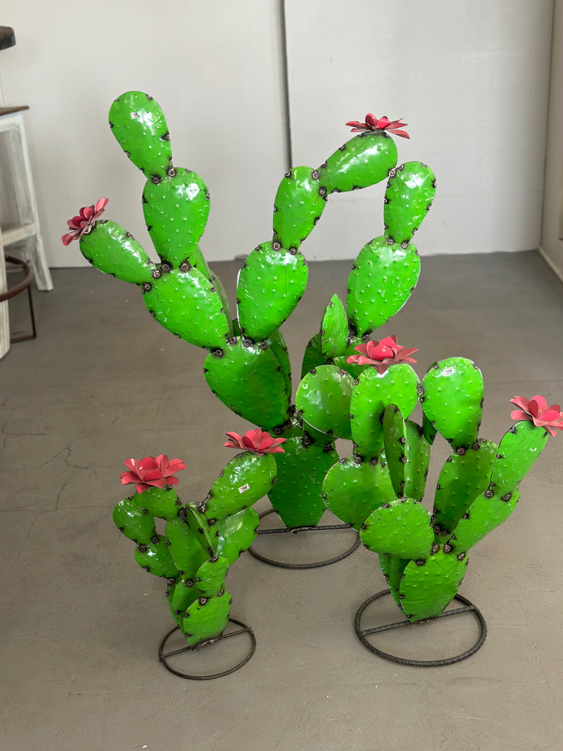 Green Cactus with Pink Flowers