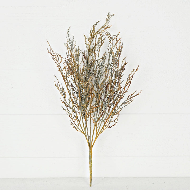 Dried Tea Tree Twig Spray - 21 Inches