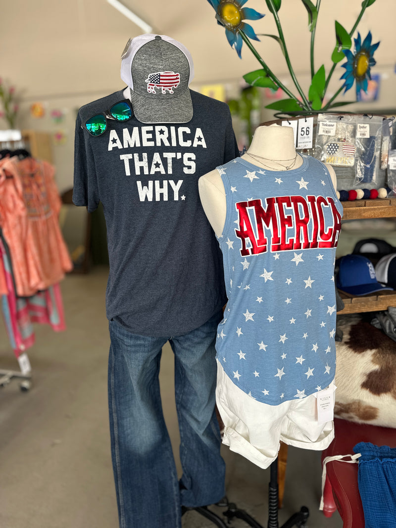Men's 'America That's Why' Crew Neck T-Shirt