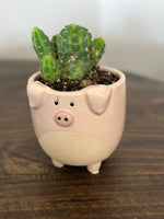 Pig on Legs Ceramic Planter