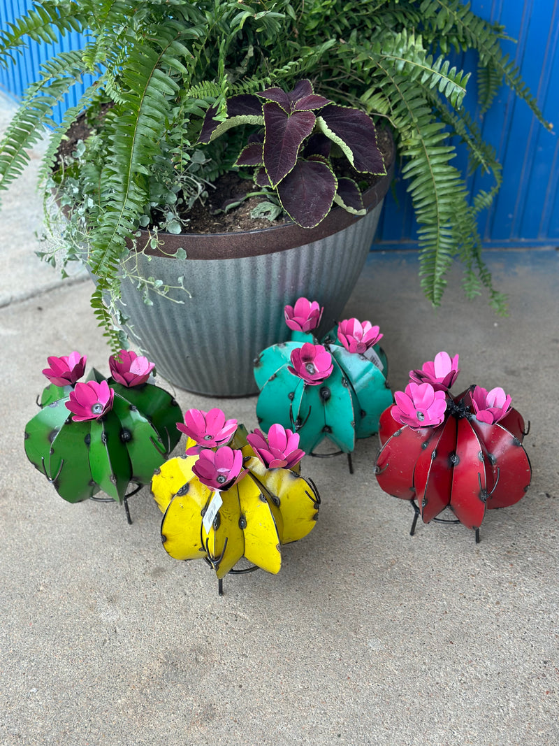 Pincushion Cactus 9" with 3 Flowers