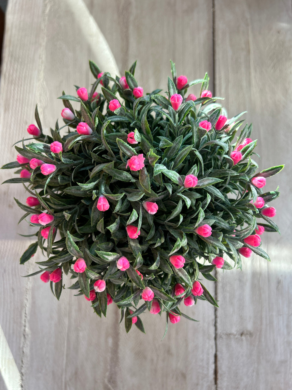 Pink Flowering Plant Pot