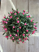 Pink Flowering Plant Pot