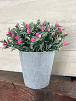 Pink Flowering Plant Pot