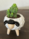 Sheep on Legs Ceramic Planter