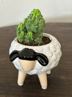 Sheep on Legs Ceramic Planter