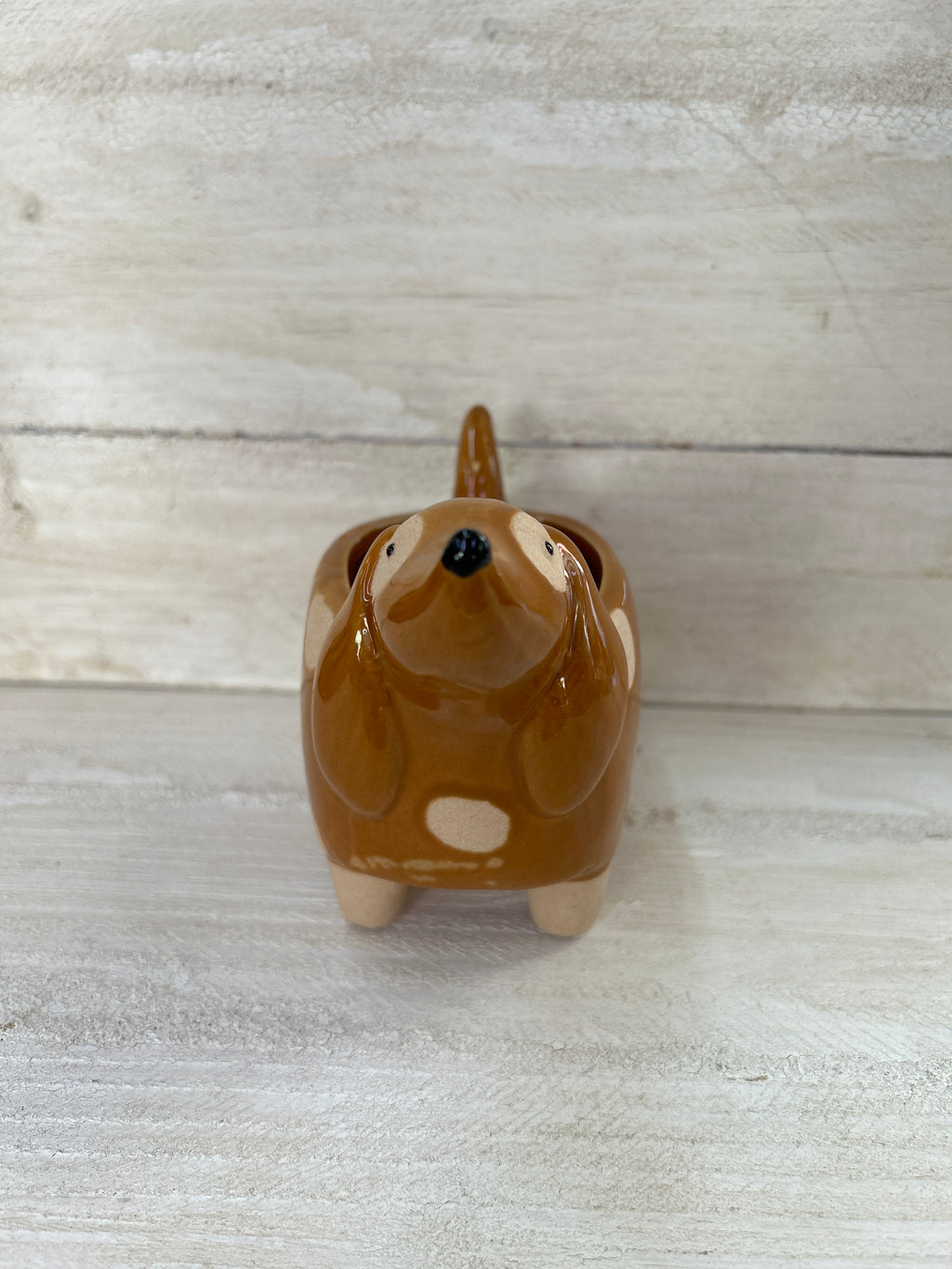 Dog on Legs Ceramic Planter [Small]