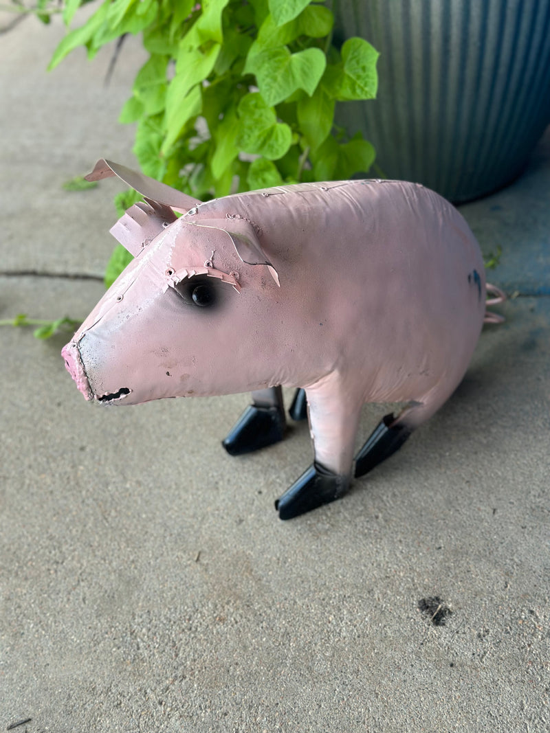 Pig with Eyelashes