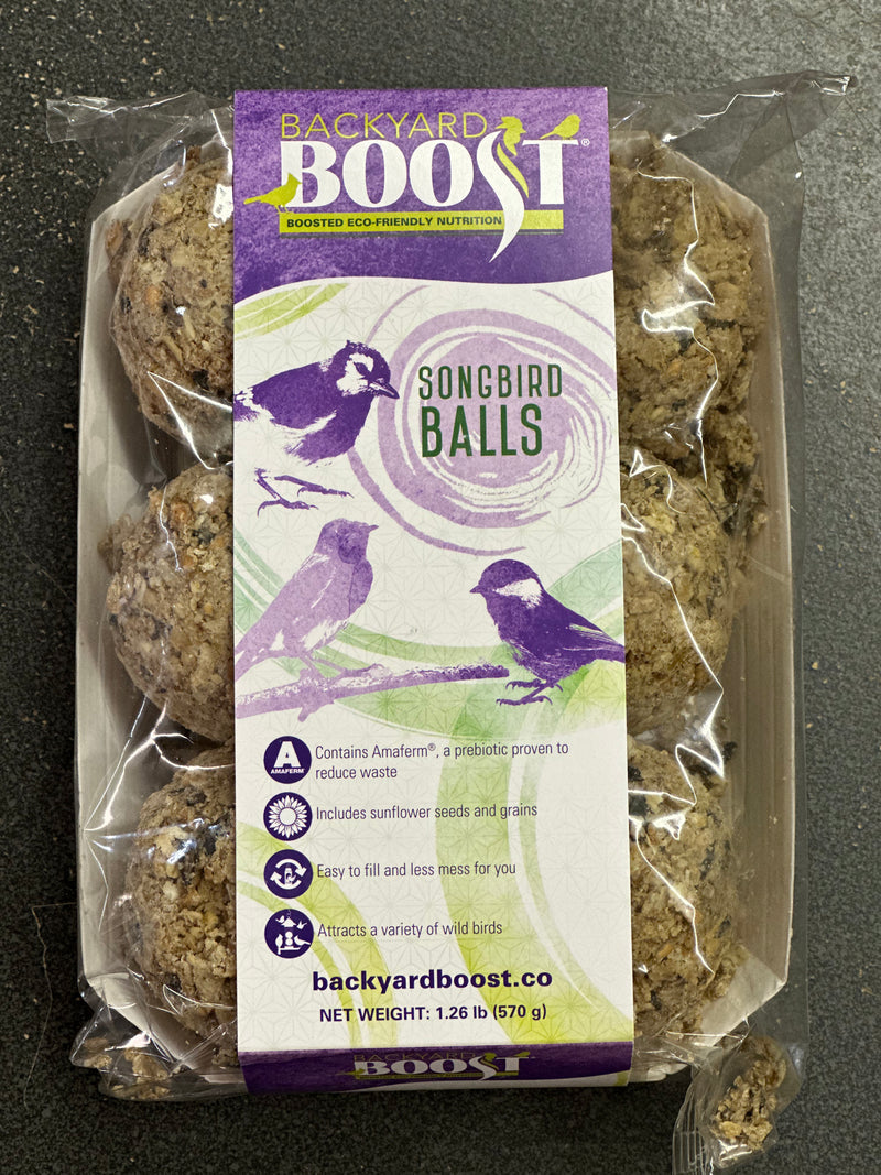 Backyard Boost Songbird Balls [6 Pack]